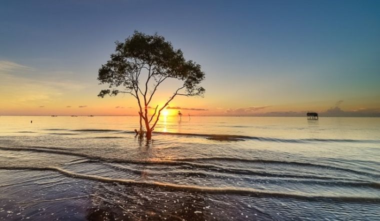 taxi long thành đi gò công